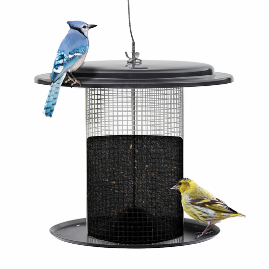 Modern Farmhouse Sunflower Seed Bird Feeder in Black and White