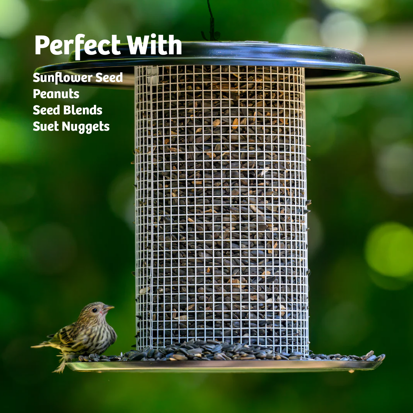 Modern Farmhouse Sunflower Seed Bird Feeder in Black and White
