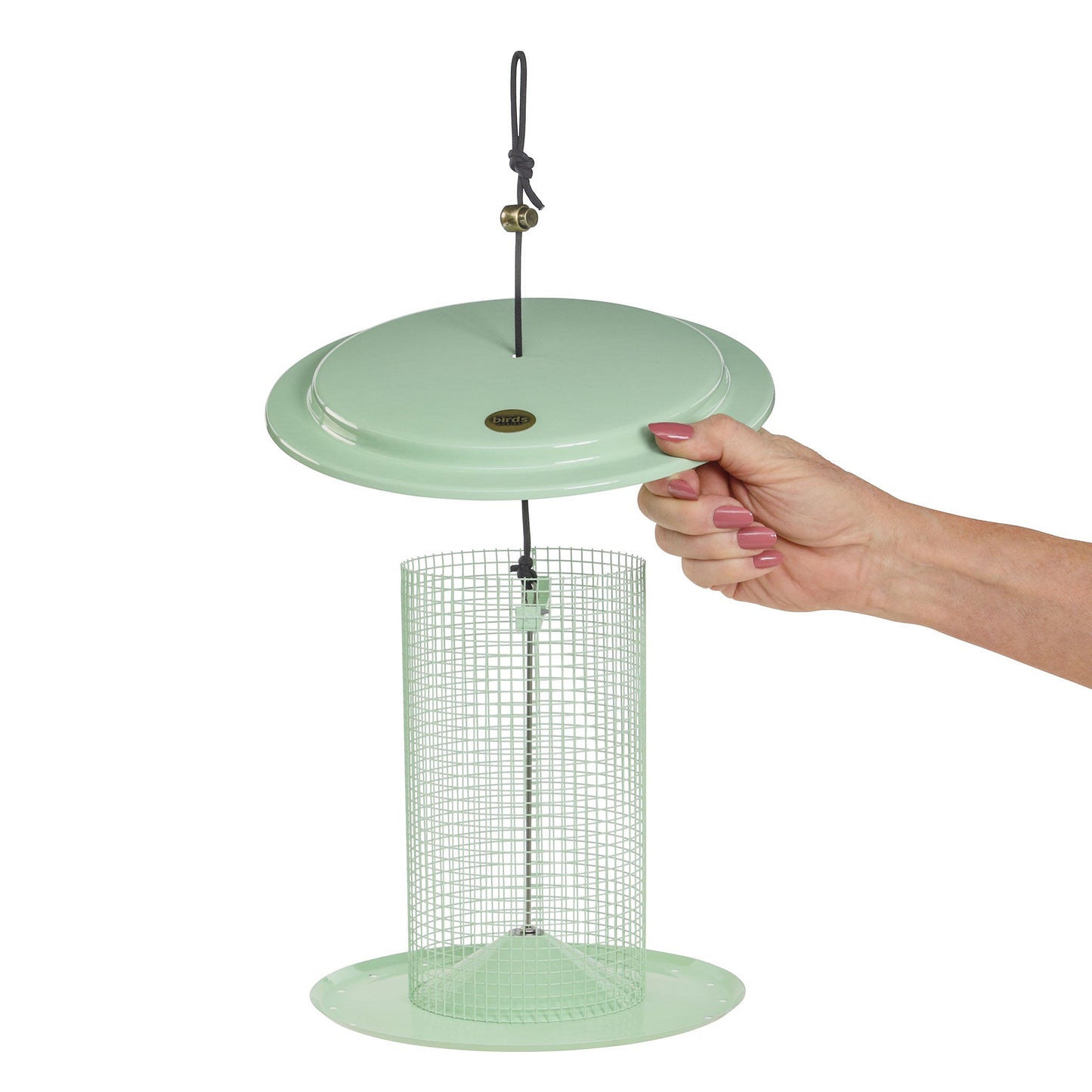 Modern Farmhouse Sunflower Seed Bird Feeder in Sage Green