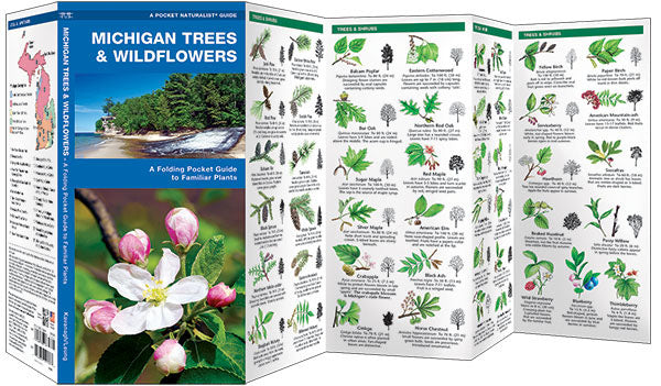 Michigan Trees & Wildflowers Pocket Guide