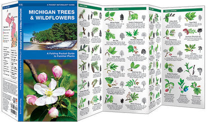 Michigan Trees & Wildflowers Pocket Guide