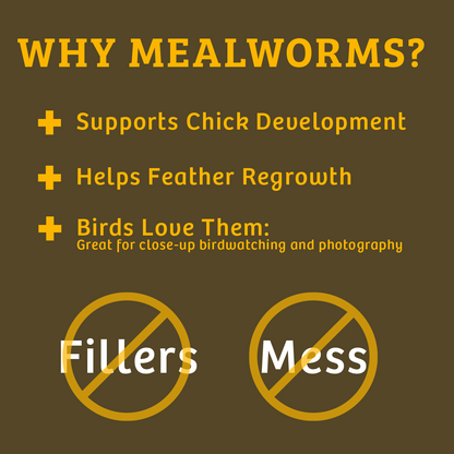 Mealworms - 5 lbs.