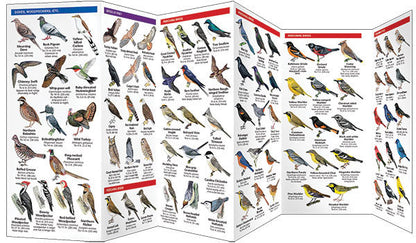 Maryland & DC Birds Pocket Guide