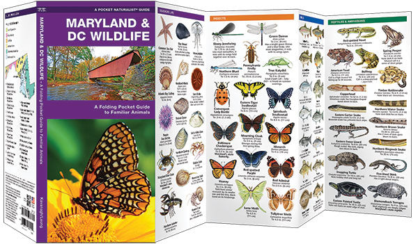 Maryland & DC Wildlife Pocket Guide