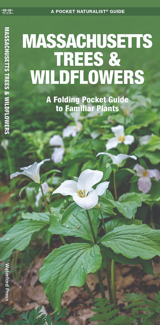 Massachusetts Trees & Wildflowers Pocket Guide