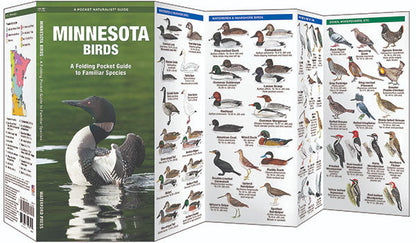 Minnesota Birds Pocket Guide