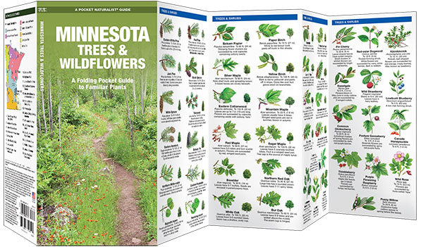 Minnesota Trees & Wildflowers Pocket Guide