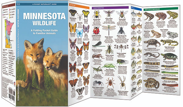 Minnesota Wildlife Pocket Guide