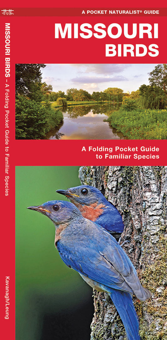 Missouri Birds Pocket Guide