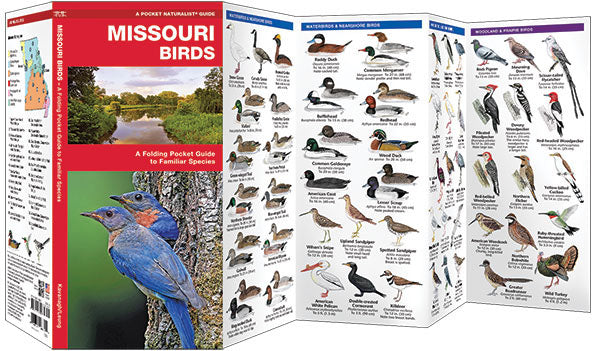 Missouri Birds Pocket Guide