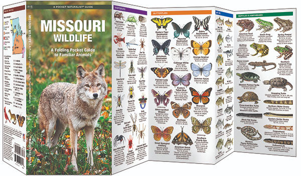 Missouri Wildlife Pocket Guide