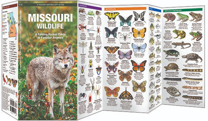 Missouri Wildlife Pocket Guide