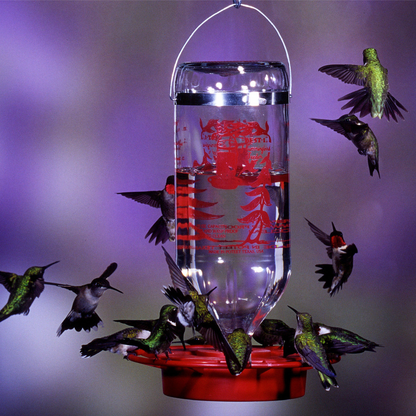 Hummingbird and Oriole Nectar 24 oz. Resealable Pouch