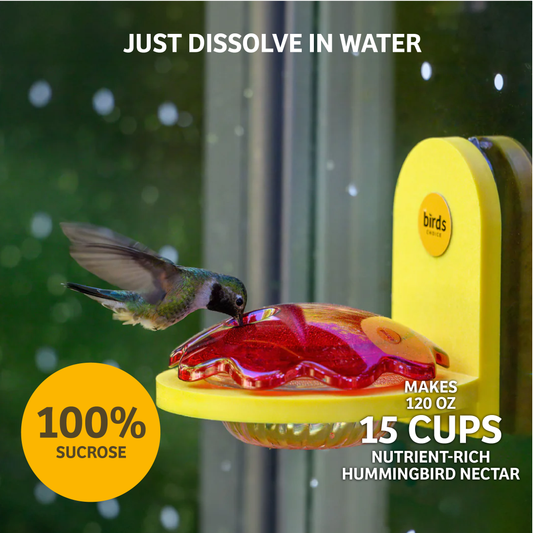 Hummingbird and Oriole Nectar 24 oz. Resealable Pouch