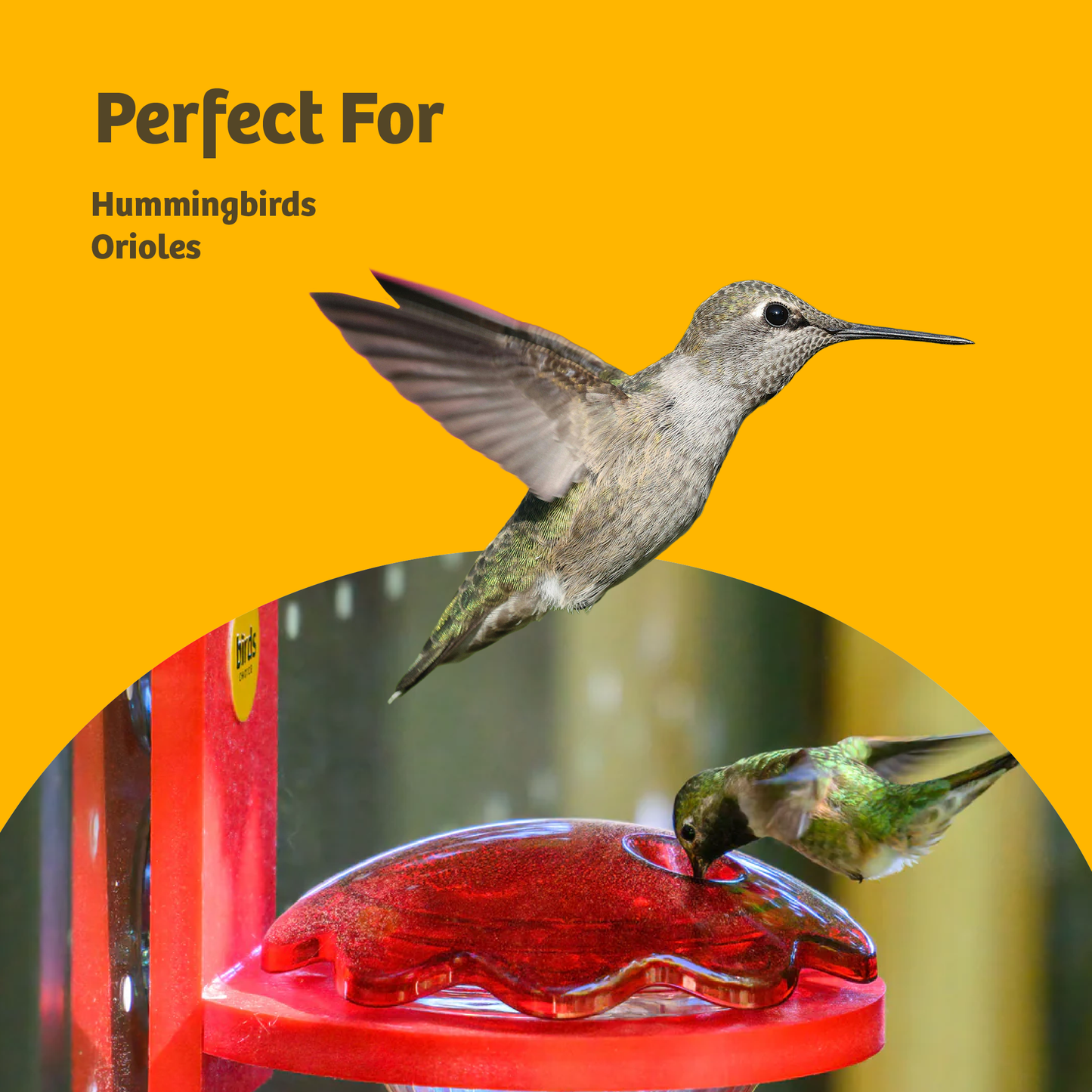 Hummingbird and Oriole Nectar 24 oz. Resealable Pouch