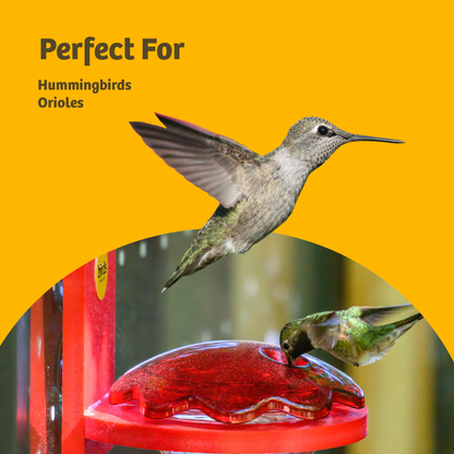 Hummingbird and Oriole Nectar 24 oz. Resealable Pouch