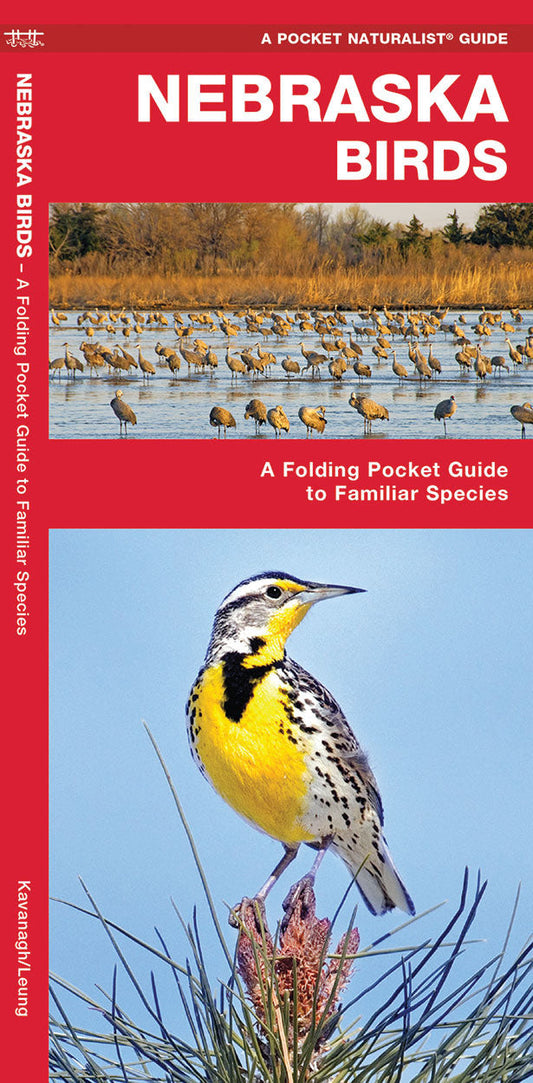 Nebraska Birds Pocket Guide