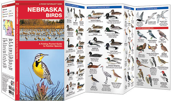 Nebraska Birds Pocket Guide