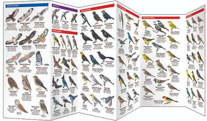 Nevada Birds Pocket Guide