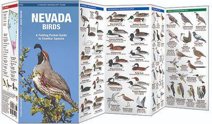 Nevada Birds Pocket Guide