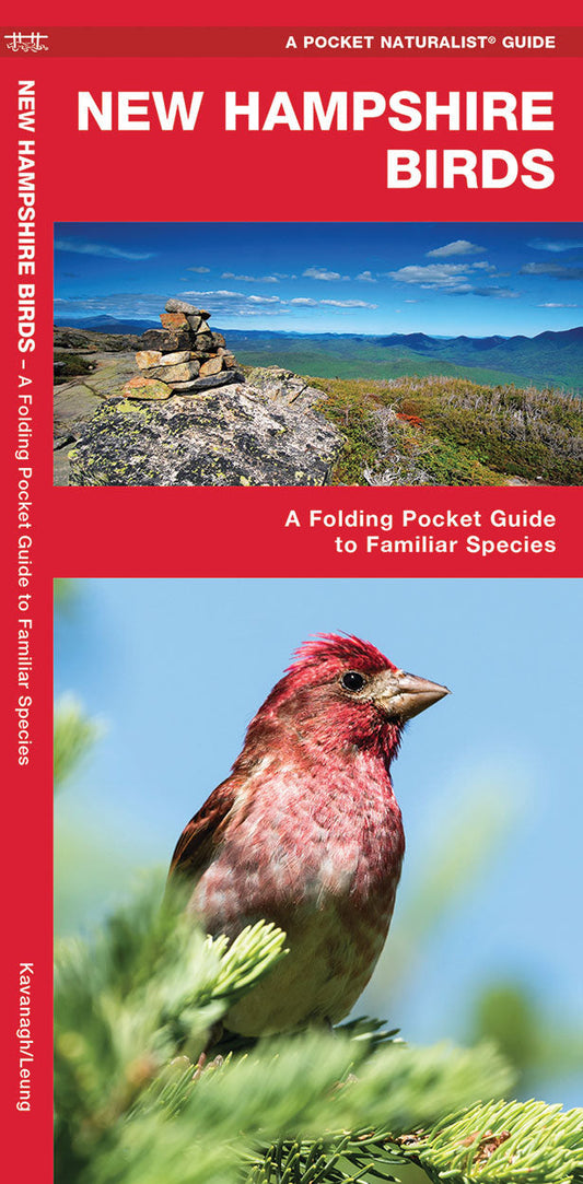 New Hampshire Birds Pocket Guide