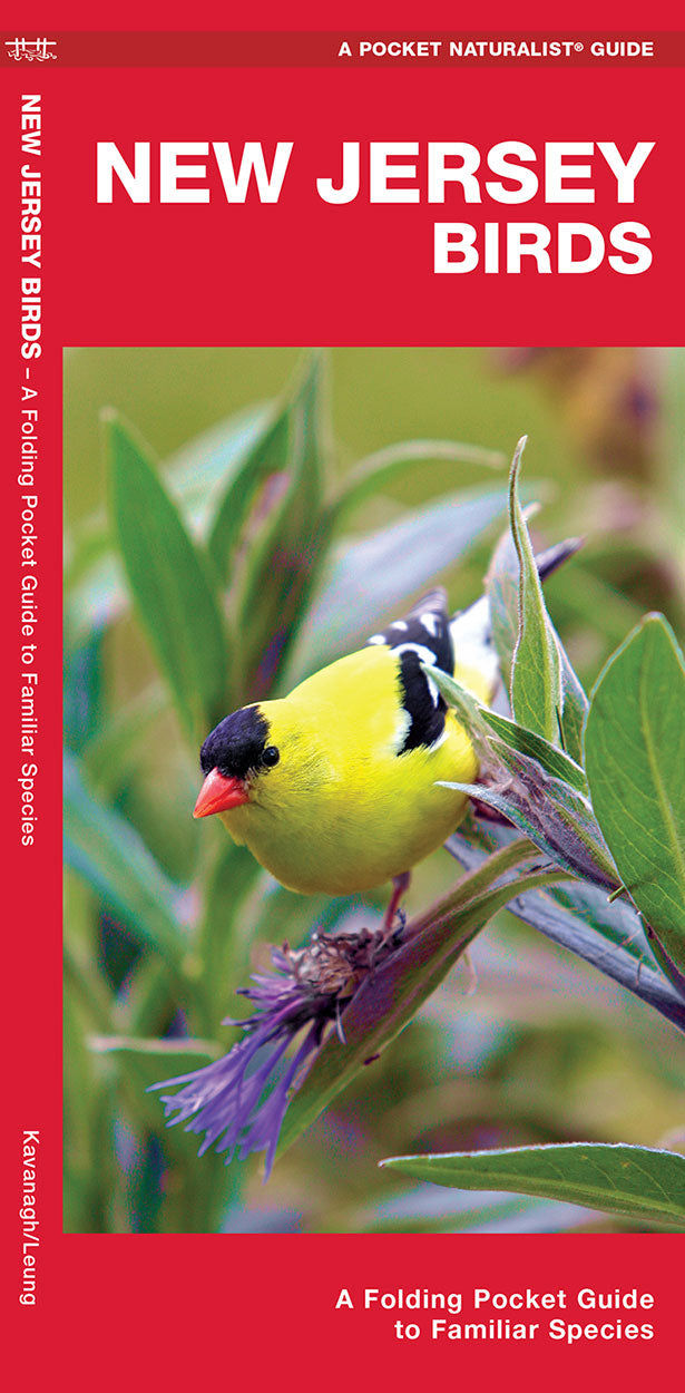 New Jersey Birds Pocket Guide