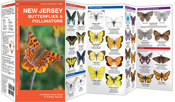 New Jersey Butterflies & Pollinators Pocket Guide