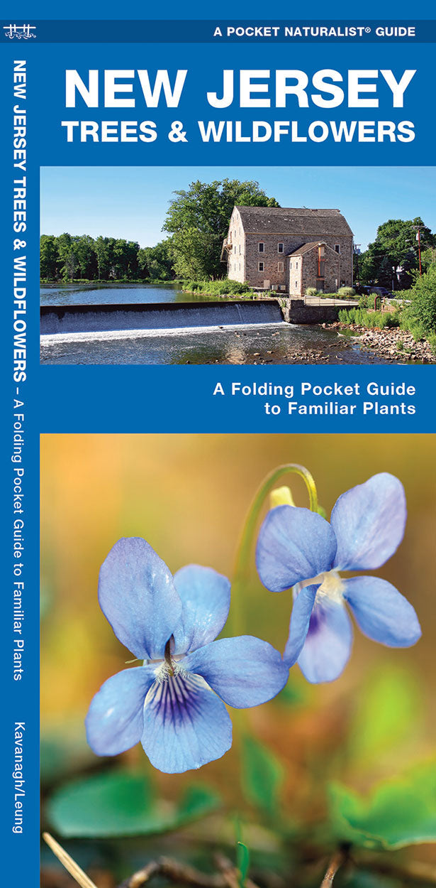 New Jersey Trees & Wildflowers Pocket Guide