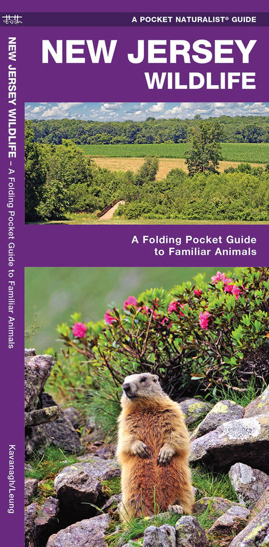 New Jersey Wildlife Pocket Guide