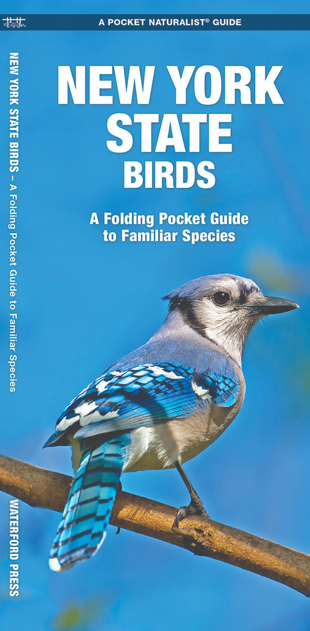 New York State Birds Pocket Guide