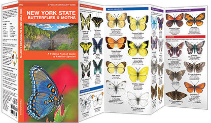 New York State Butterflies & Moths Pocket Guide