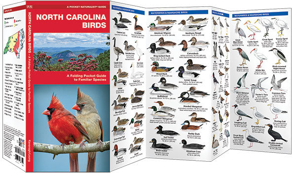 North Carolina Birds Pocket Guide