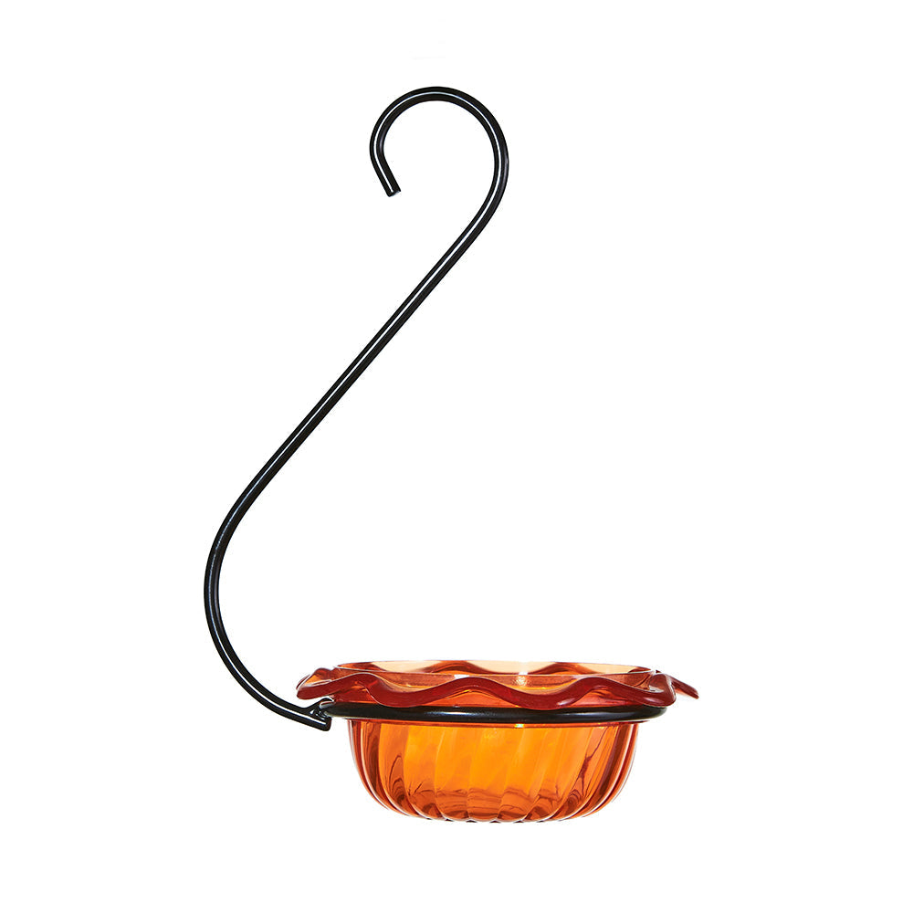 Oriole Feeder Single Cup for Jelly - Birds Choice