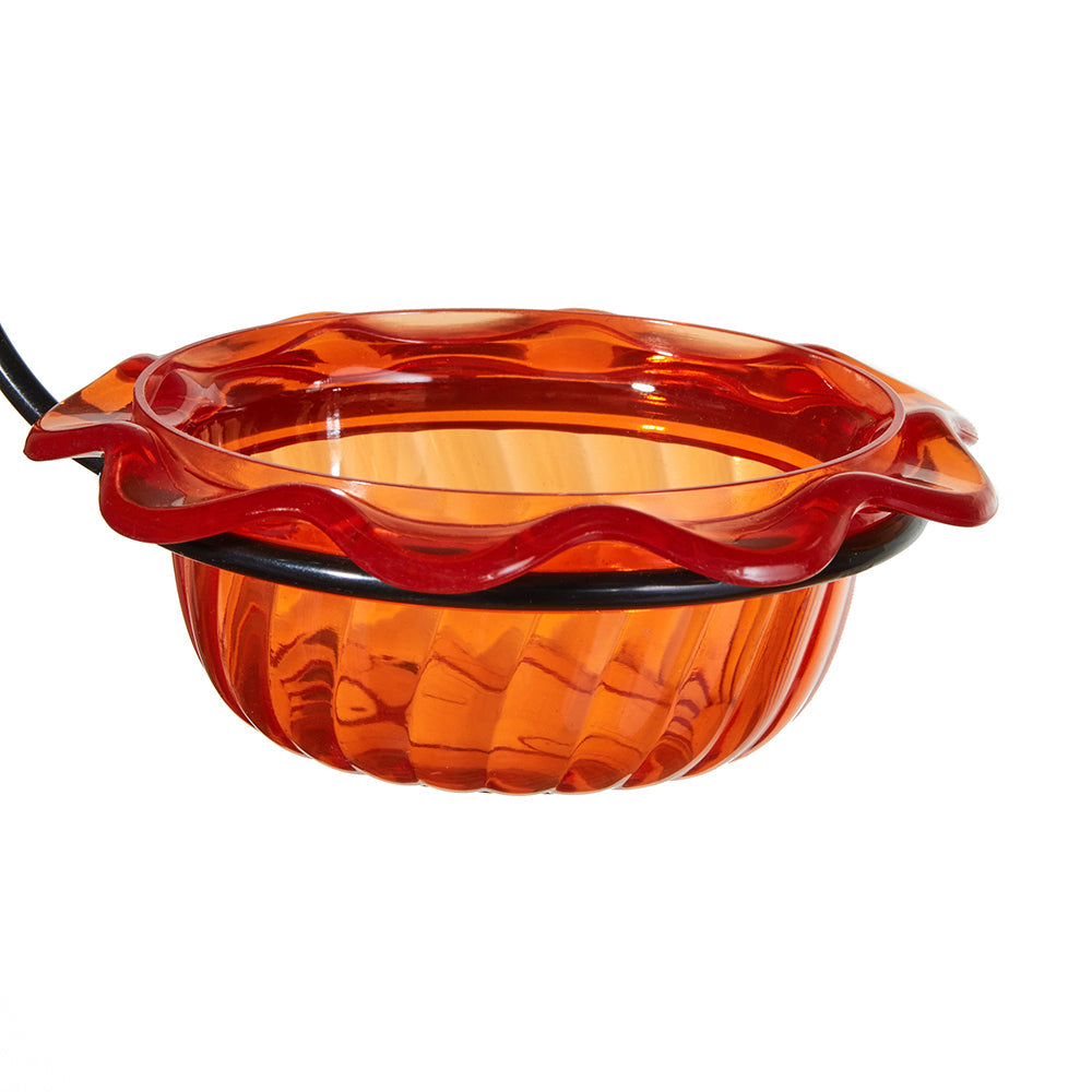 Oriole Feeder Single Cup for Jelly - Birds Choice