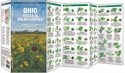 Ohio Trees & Wildflowers Pocket Guides