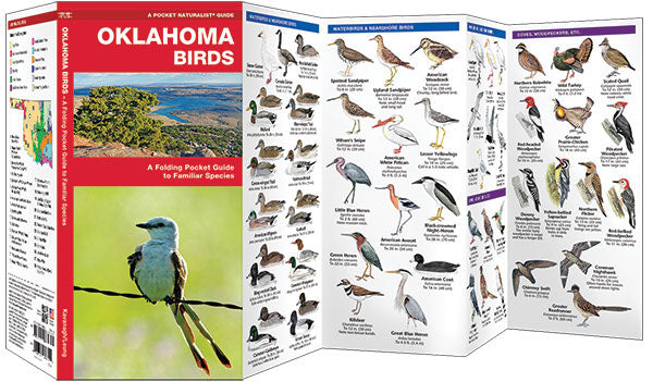 Oklahoma Birds Pocket Guide