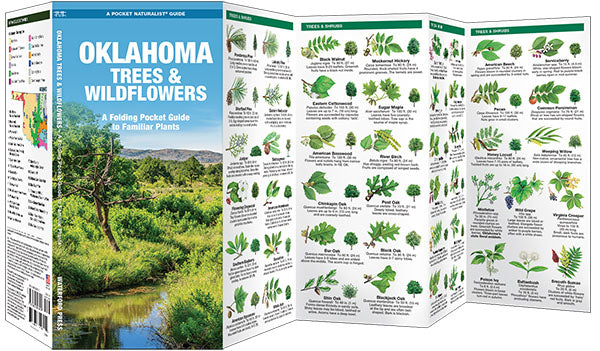 Oklahoma Trees & Wildflowers Pocket Guide