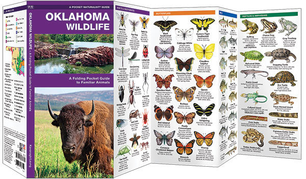 Oklahoma Wildlife Pocket Guide