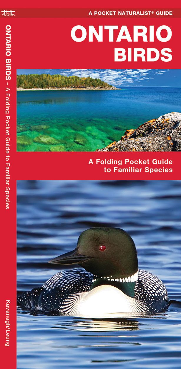 Ontario Birds Pocket Guide