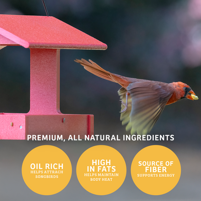 Shelled Peanuts - 10 lbs.