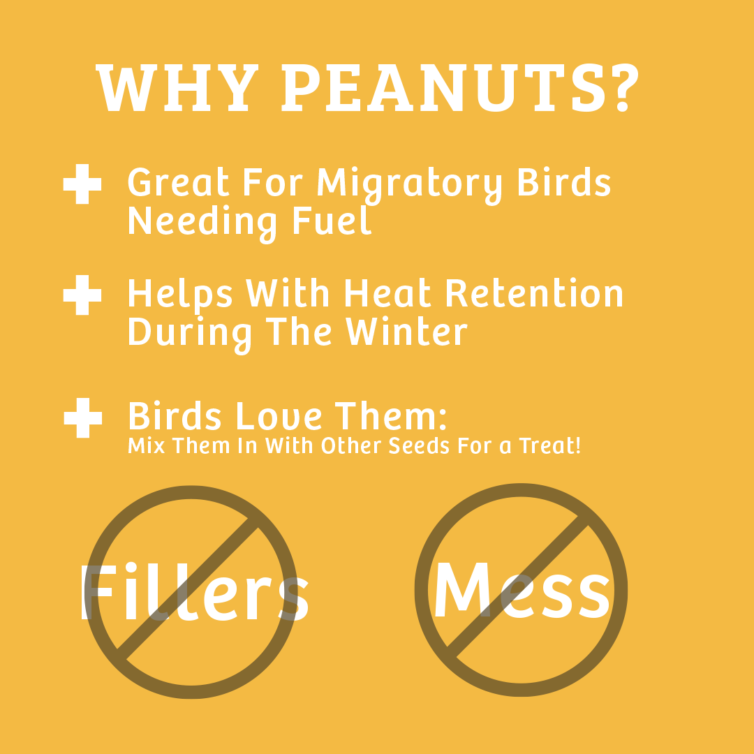 Shelled Peanuts - 10 lbs.