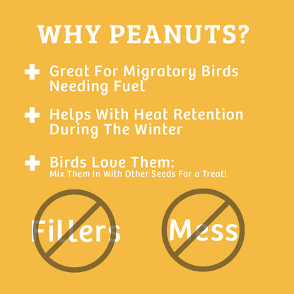 Shelled Peanuts - 10 lbs.