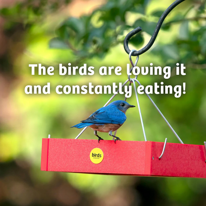 Shelled Peanuts - 10 lbs.