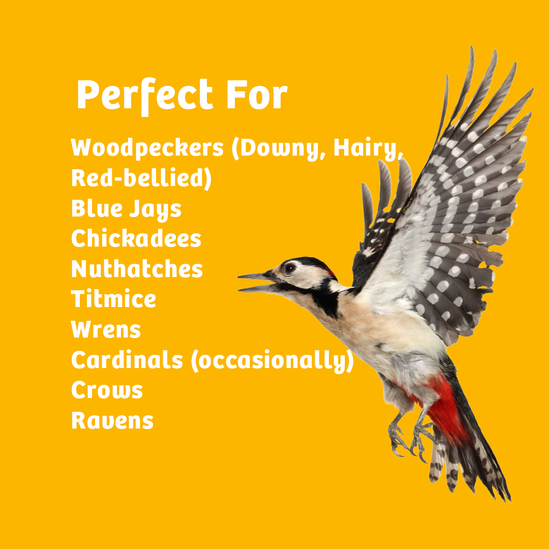 Shelled Peanuts - 10 lbs.