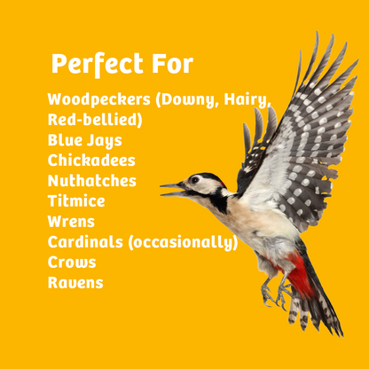 Shelled Peanuts - 10 lbs.