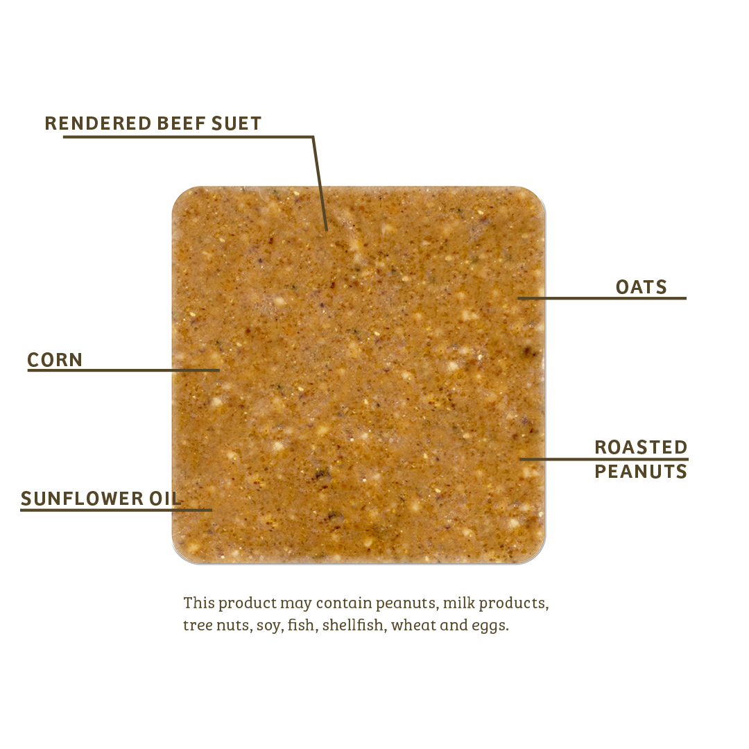 PEANUT NO MELT SUET - 12 PACK
