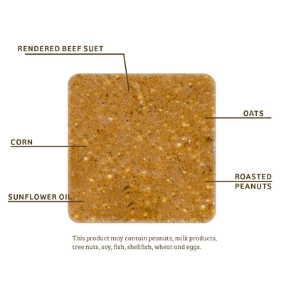 PEANUT NO MELT SUET - 12 PACK