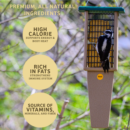 PEANUT NO MELT SUET - 12 PACK