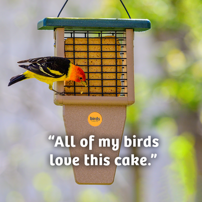 PEANUT NO MELT SUET - 12 PACK