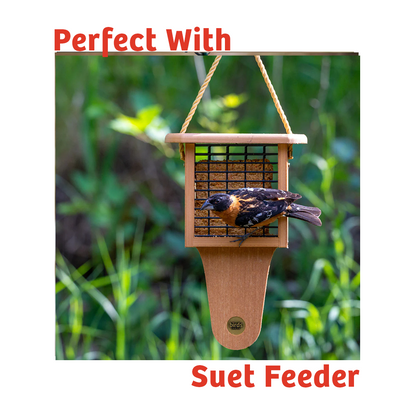 PEANUT NO MELT SUET - 12 PACK